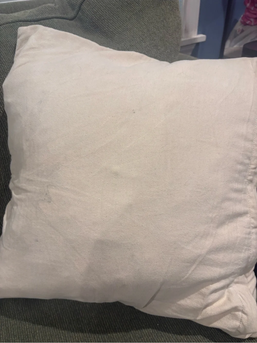 West Elm Textured Woven Accent Pillow in Sage and Cream